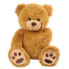 Plush Teddy Bear